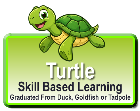 Turtle Class.fw